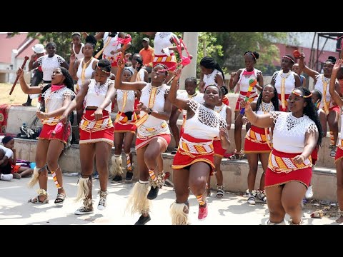 Zulu dance Africa