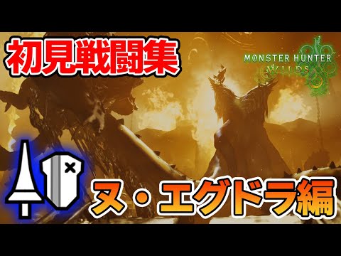 【モンハンワイルズ】ランスで初見戦闘集！ヌ・エグドラ編【モンスターハンターワイルズ】【ぽんすけ】