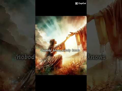 Home. 👑🌼❤️|| #jesus #heaven #paradise #aesthetic  #beautiful #glorytogod #takemehome #jaidmeel