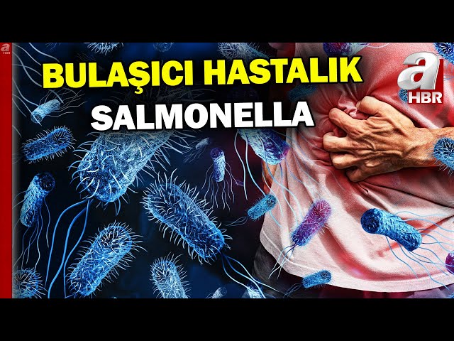 Salmonella Bakterisinin Belirtileri Neler? Hangi Yolla Bulaşır? | A Haber
