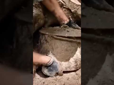 Essa descoberta o deixou muito rico!! 😱😱💰 #viralvideo