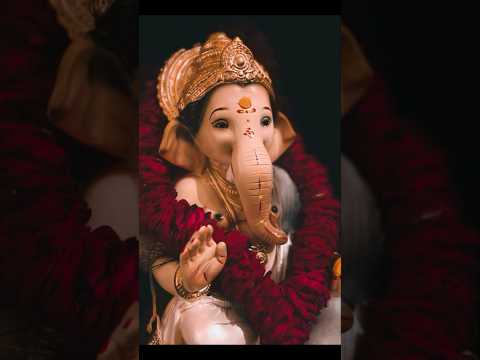 Bappa wala🎆😍💞 gana#bappa#festival#cute#lovely#god