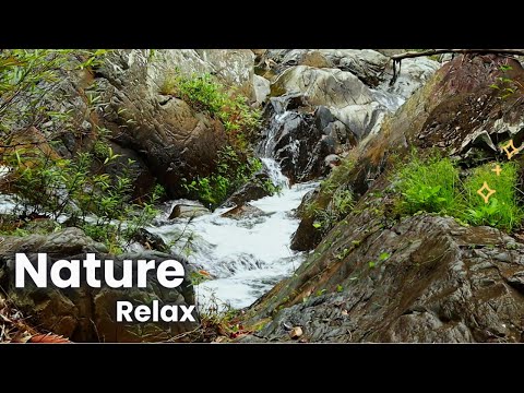 Nature relaxing with piano water and bird sound Eps111