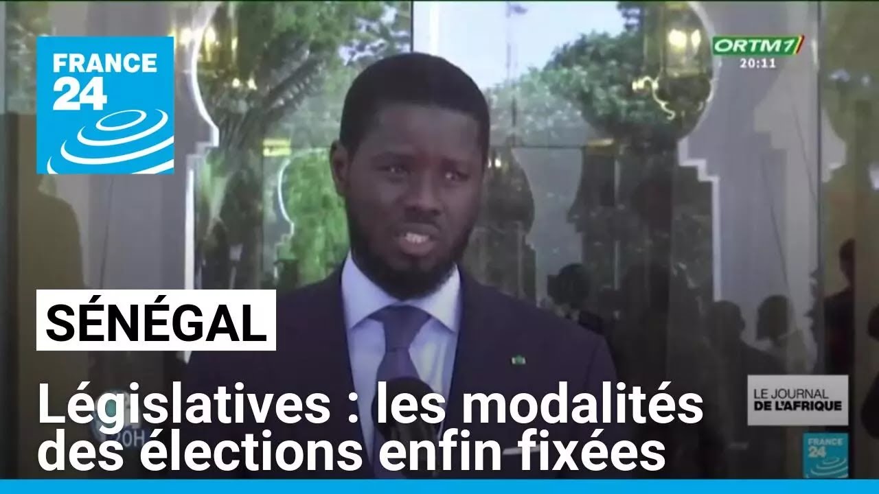 Législatives au Sénégal : les modalités des élections enfin fixées • FRANCE 24