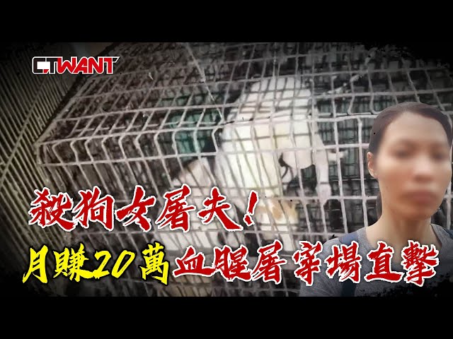 殺狗女屠夫2／市中心竟藏屠狗基地 越女「抓狗如抓雞」地獄產業鏈曝光