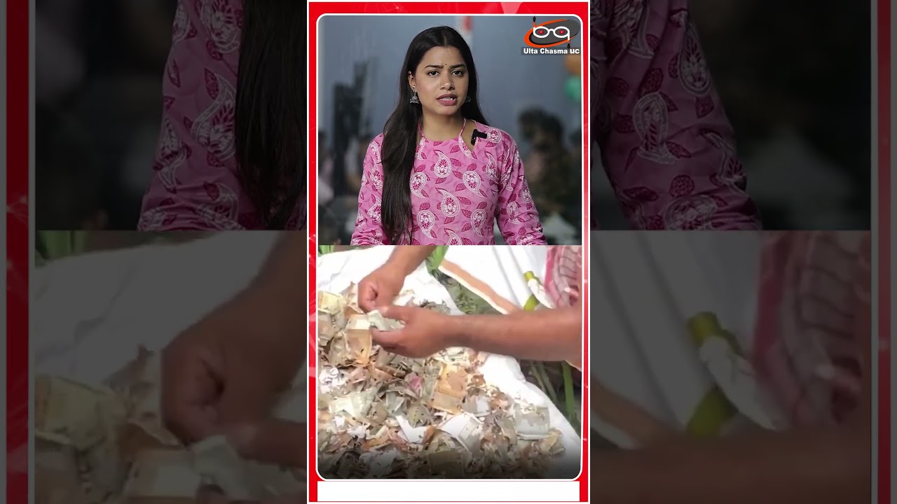 चूहों ने कुतरे 12 लाख के नोट