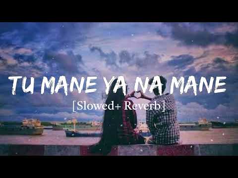 Upload mp3 to YouTube and audio cutter for Tu Mane Ya Na Mane Dildara Lofi Song | Rab Maneya Lofi Song | slowed+ Reverb Remix download from Youtube