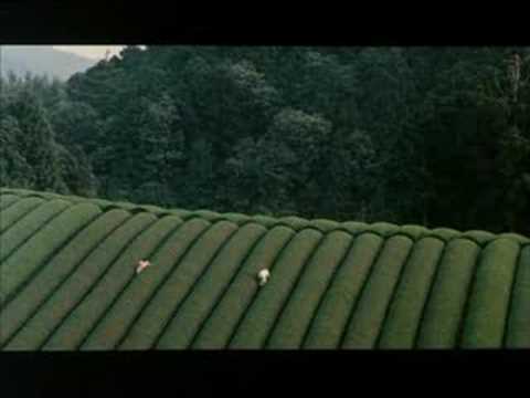 The Mourning Forest'