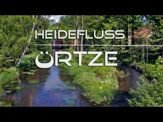 Vorschaubild für das Youtube-Video: Die Örtze - der Heide echtester Fluss