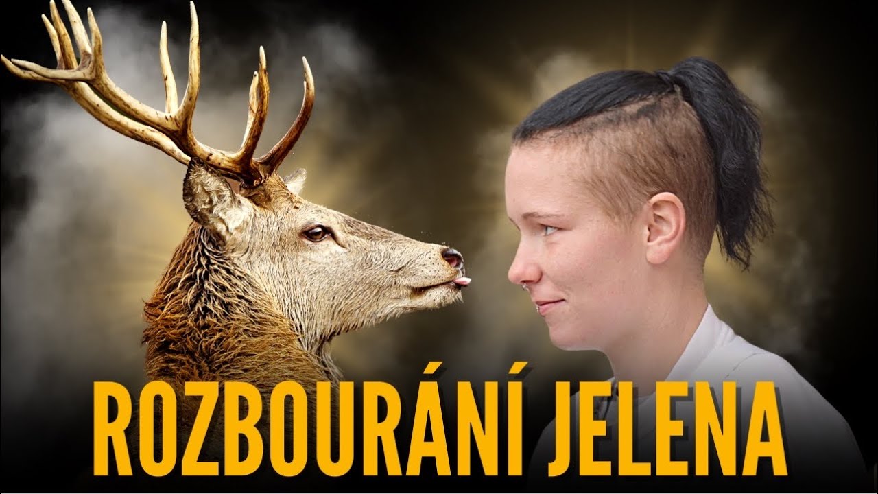 Jak stáhnout, rozbourat a vykostit zvěřinu - Jelen evropský 🦌