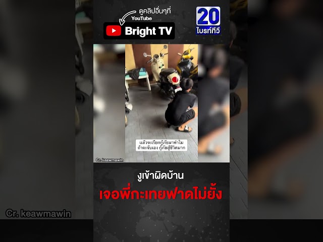 ของจริง! งูเจอพี่กะเทย ใส่ไม่ยั้ง ชิ่งหนีแทบไม่ทัน