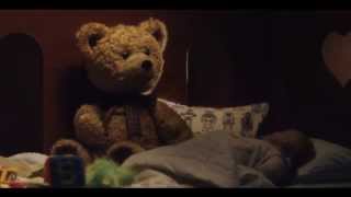 這才是真正的泰迪熊