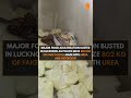Lucknow Police Seize 802 Kg of Adulterated Khoya, Warn Public on Food Safety | News9