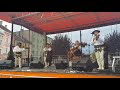 Trebunie - Tutki w Chojnowie 15.08.2019