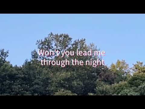 Lead Me Through The Night | Don Moen | Lyrics