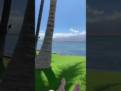 宿泊施設による動画
