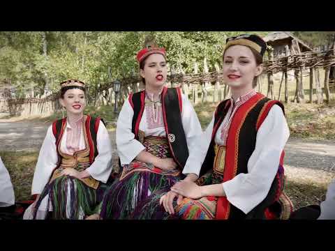 Academic Society For Music Cherishing GUSLE Kikinda Serbia - Gorom pjeva mladi Radivoje / The young Radivoje sings on the mountain