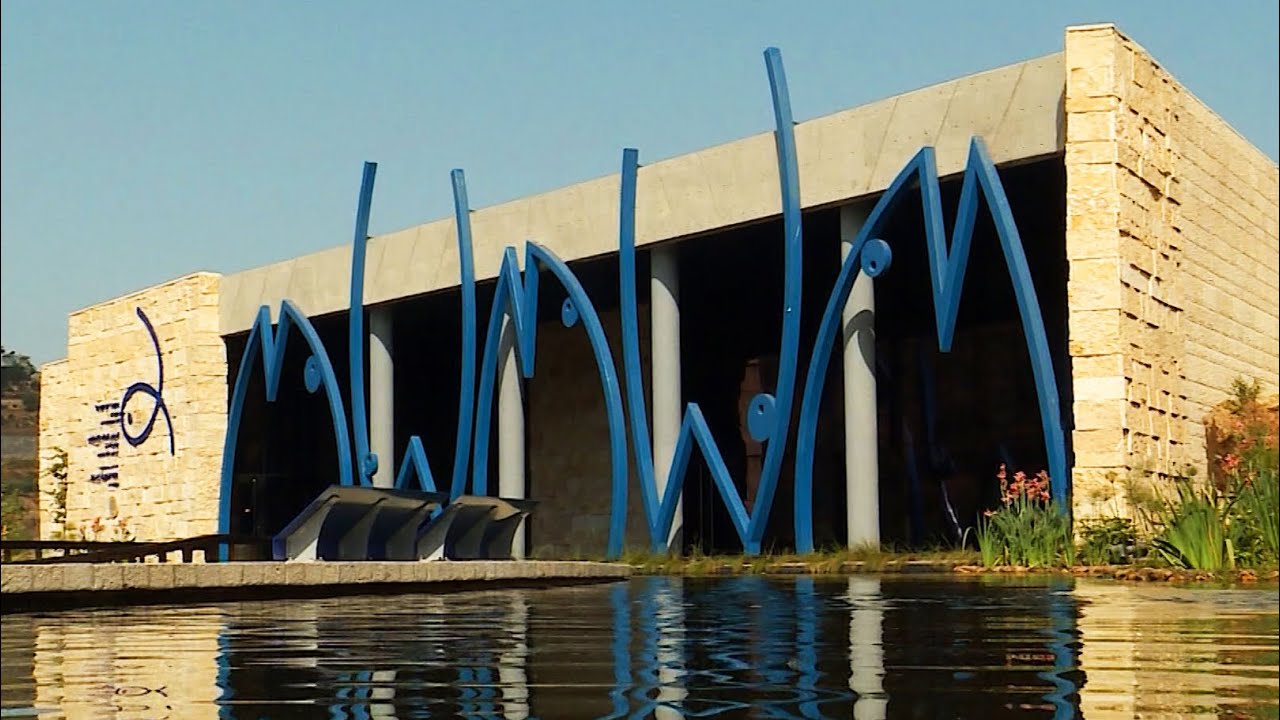 HD Jerusalem Aquarium Cinematic walking tour Fish, Sharks & Coral Israel ‏‏אקווריום ירושלים ישראל