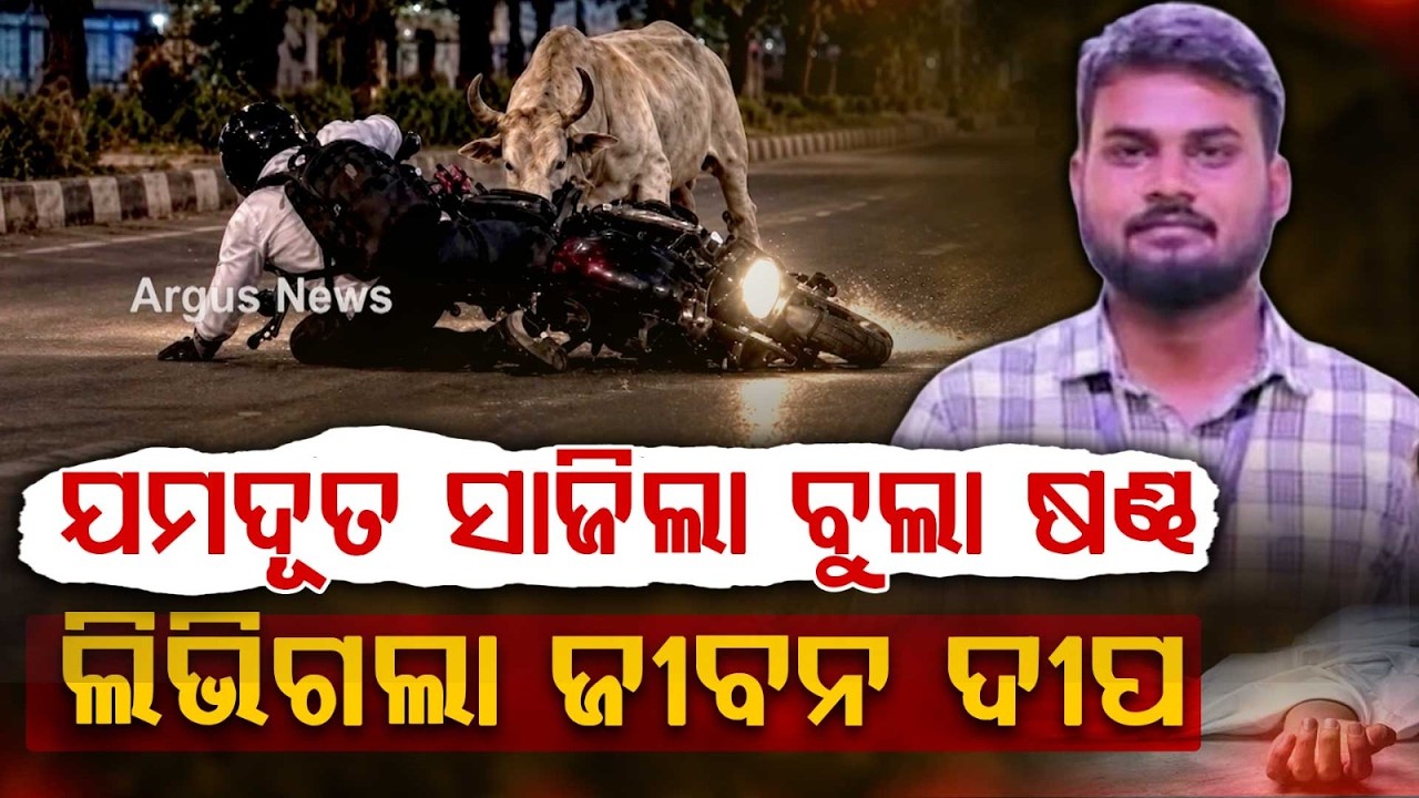 ଯମଦୂତ ସାଜିଲା ଷଣ୍ଢ | Mountaineer Jagannath Mohanta Di*s In Tragic Stray Bull Attack In Bhubaneswar