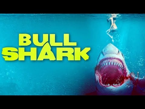 Bull Shark'