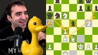 I Got Quacktical | Duck Chess Championship Qualifiers