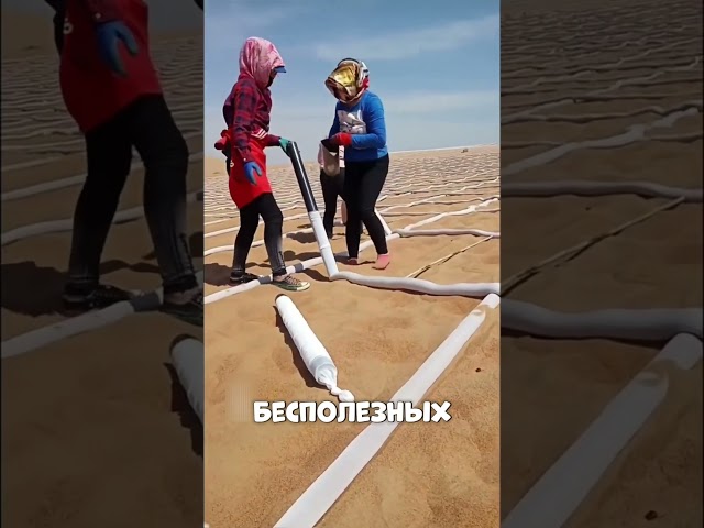 Путин СДАЛ КИТАЮ в аренду Монголию🤫🔥🇲🇳