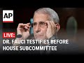 LIVE: Dr. Fauci testifies on COVID-19 pandemic before House subcommittee