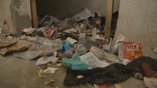 'Cockroaches, bodily fluids and drug paraphenalia': Inside a troubled Saskatoon condo tower