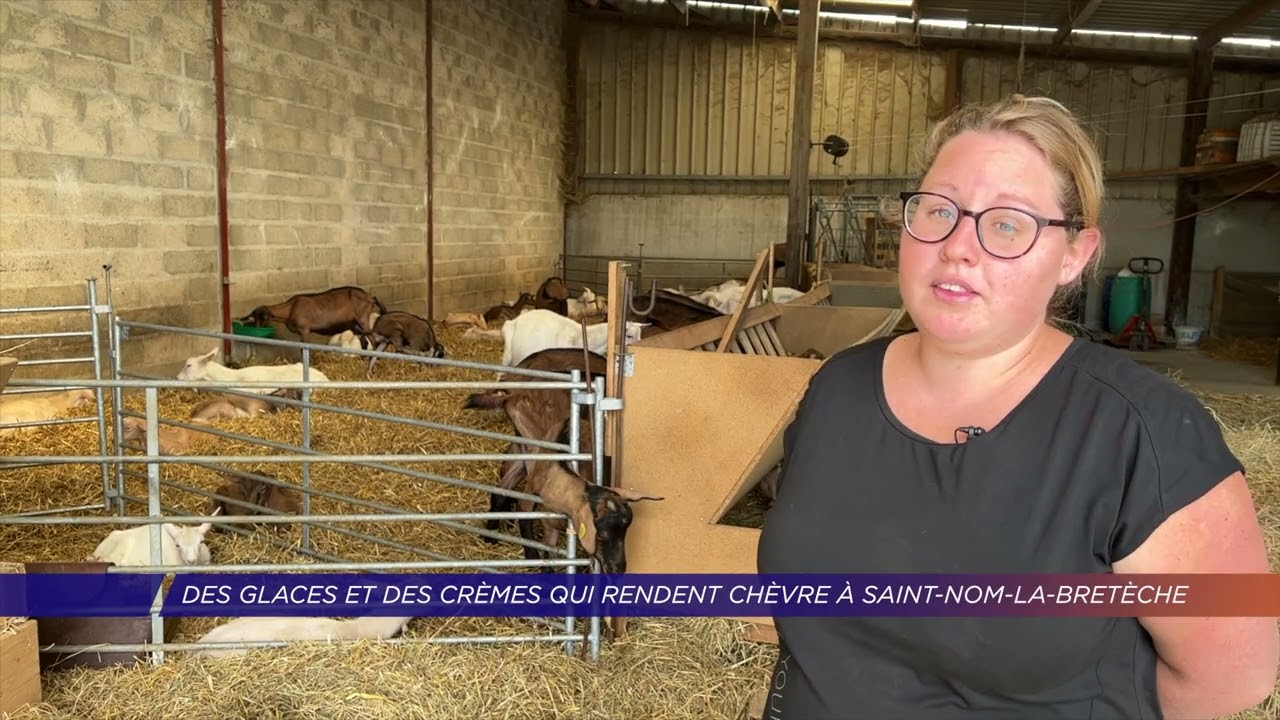 Yvelines | Des glaces et des crèmes qui rendent chèvre à Saint-Nom-la-Bretèche