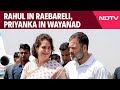 Rahul Gandhi In Raebareli, Priyanka In Wayanad: Decoding Congress Move