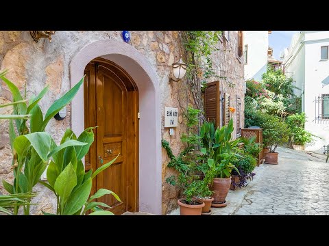 Property video