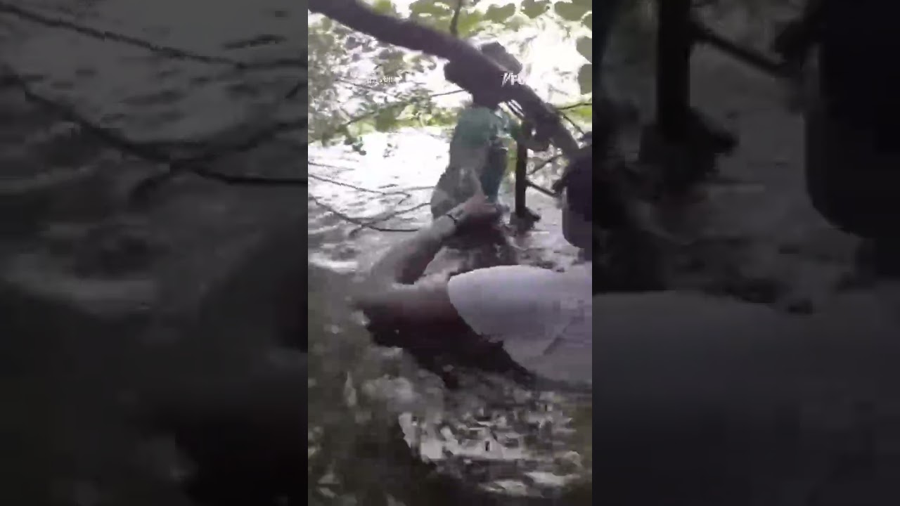 COUPLE OF HEROS: Big brother saves his missing sister with the help of a deputy #shorts #usa #new