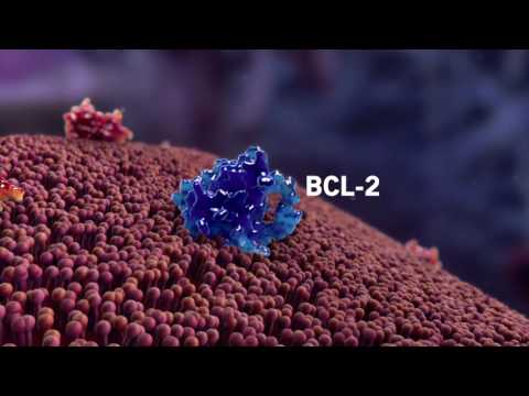 The 20-year journey yielding a new weapon against cancer The 20-year journey yielding a new weapon against cancer