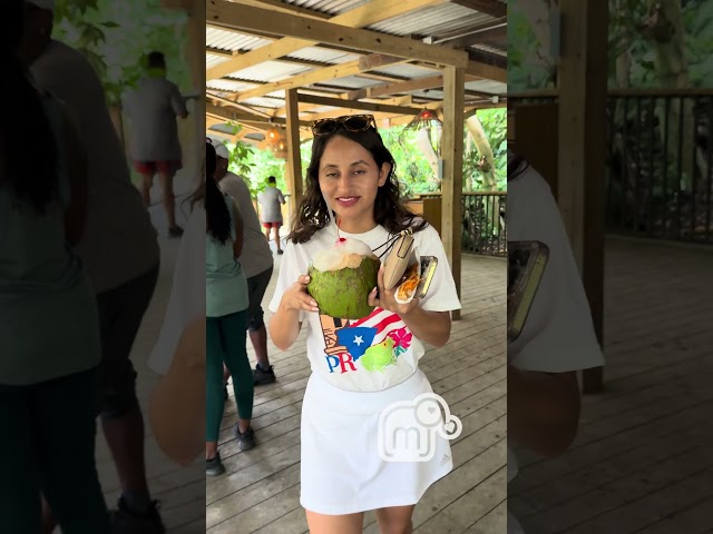 Fuimos a lugares que ustedes nos recomendaron  Otro día más en puerto Rico