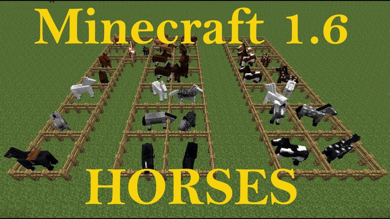 Minecraft 1.6 Horse colors and breeds tutorial - YouTube