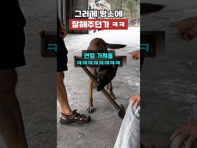평소에 잘해주던가 ㅋㅋㅋ