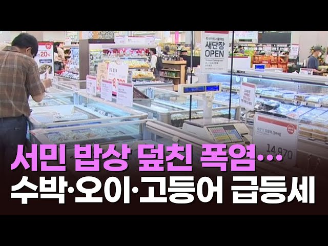 서민 밥상 덮친 폭염…수박·오이·고등어 급등세 [아침에 PICK] [뉴스퍼레이드]
