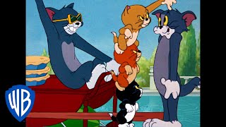 Tom a Jerry - Hej Tom