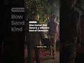 Bow hunter Rob Sand is a different kind of Democrat