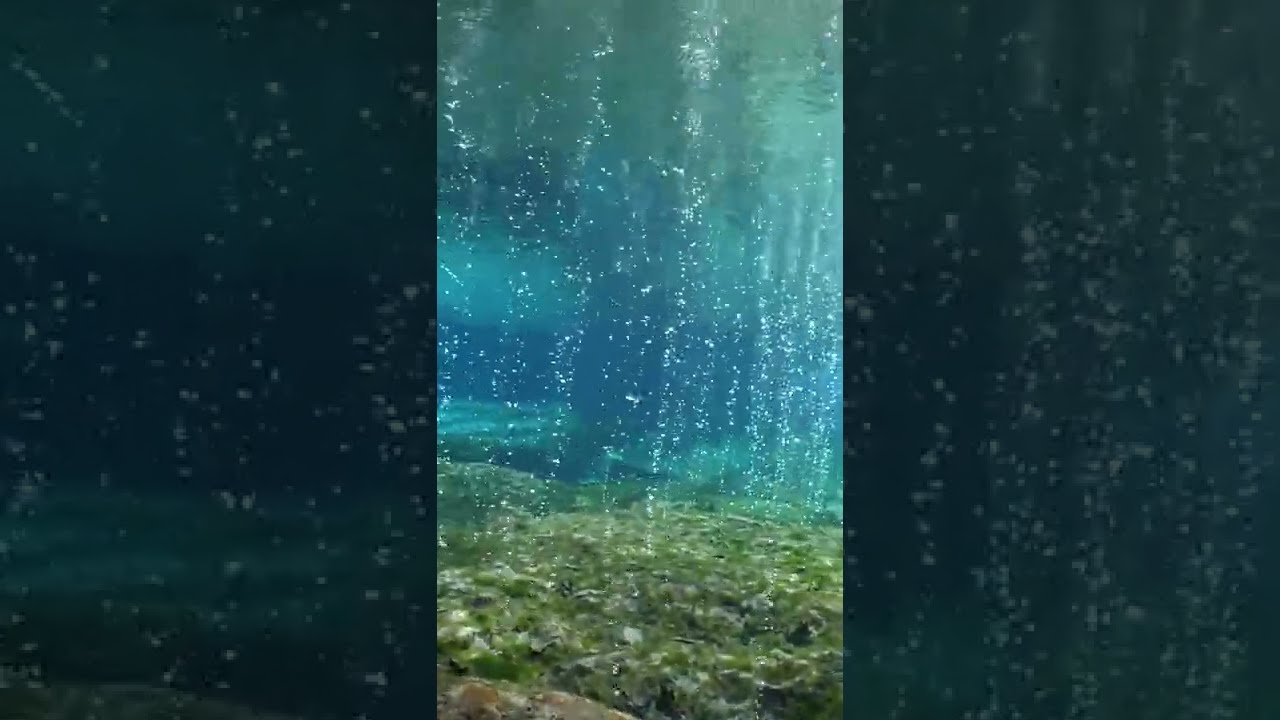 Swimming through a bubbly spring