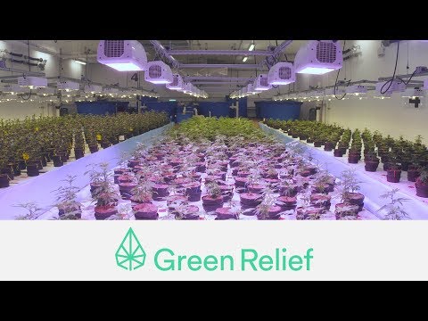 VIDEO - A tour of the Green Relief facility. VIDEO - A tour of the Green Relief facility.