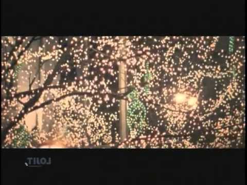 Mi Olvido Bnada Ms