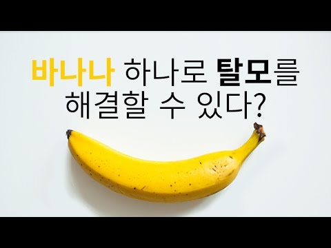 바나나 하나로 10분만에 탈모를 해결할 수 있다?_채널A_돈나와라뚝딱 2회