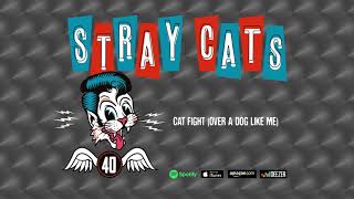 Cat Fight (Over A Dog Like Me) (Live)