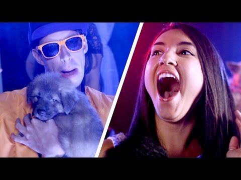 Puppies In The Club (Music Video)