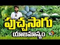 Watermelon Cultivation Management | పుచ్చసాగు యాజమాన్యం | Matti Manishi | 10TV