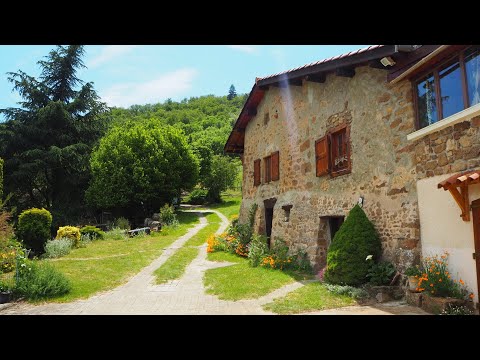 Property video