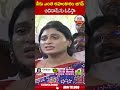 నీకు ఎంత అహంకారం జగన్ అవినాష్ ను ఓడిస్తా #yssharmila #ysjagan | ABN Telugu - 00:53 min - News - Video