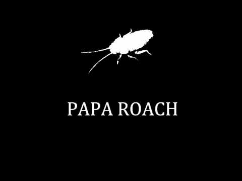 Papa Roach - Last Resort - Acoustic Instrumental