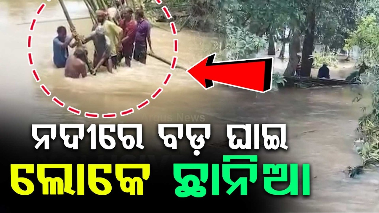 Bhadrak Flood Alert: Salandi And Nalia Rivers Embankments Breach, Villages Inundated | Argus News